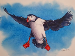 Birds