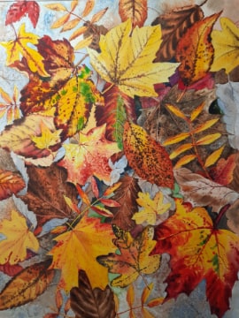Leaves