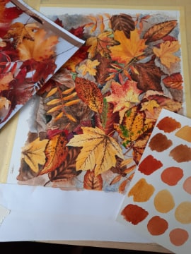 Leaves
